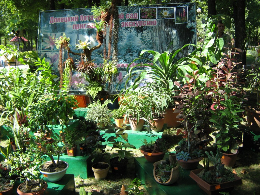 Донецк Выставка цветов 2015 Виды растений из ботанического сада