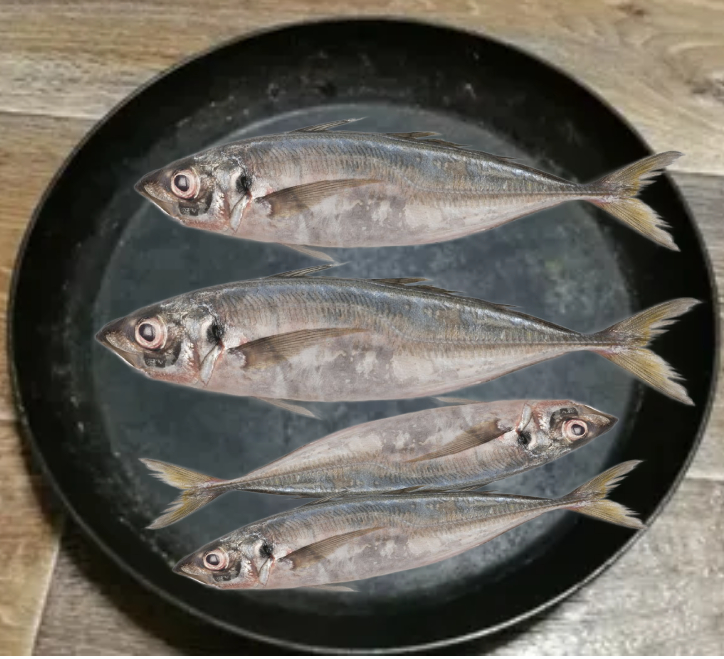 Размещение рыбы ставрида на сковороде