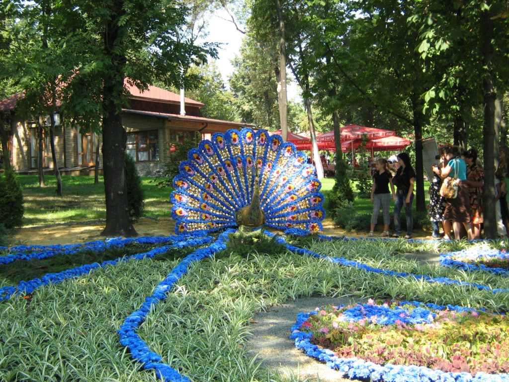 Донецк Выставка цветов 2010 Павлин из цветов