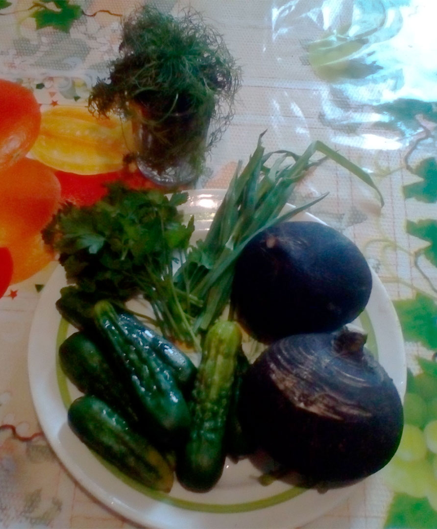 Овощи для салата: чёрная редька, свежий огурец, зелёный лук, петрушка и фенхель