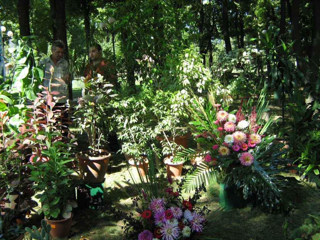 Донецк Выставка цветов 2015 Ботанический сад на выставке цветов