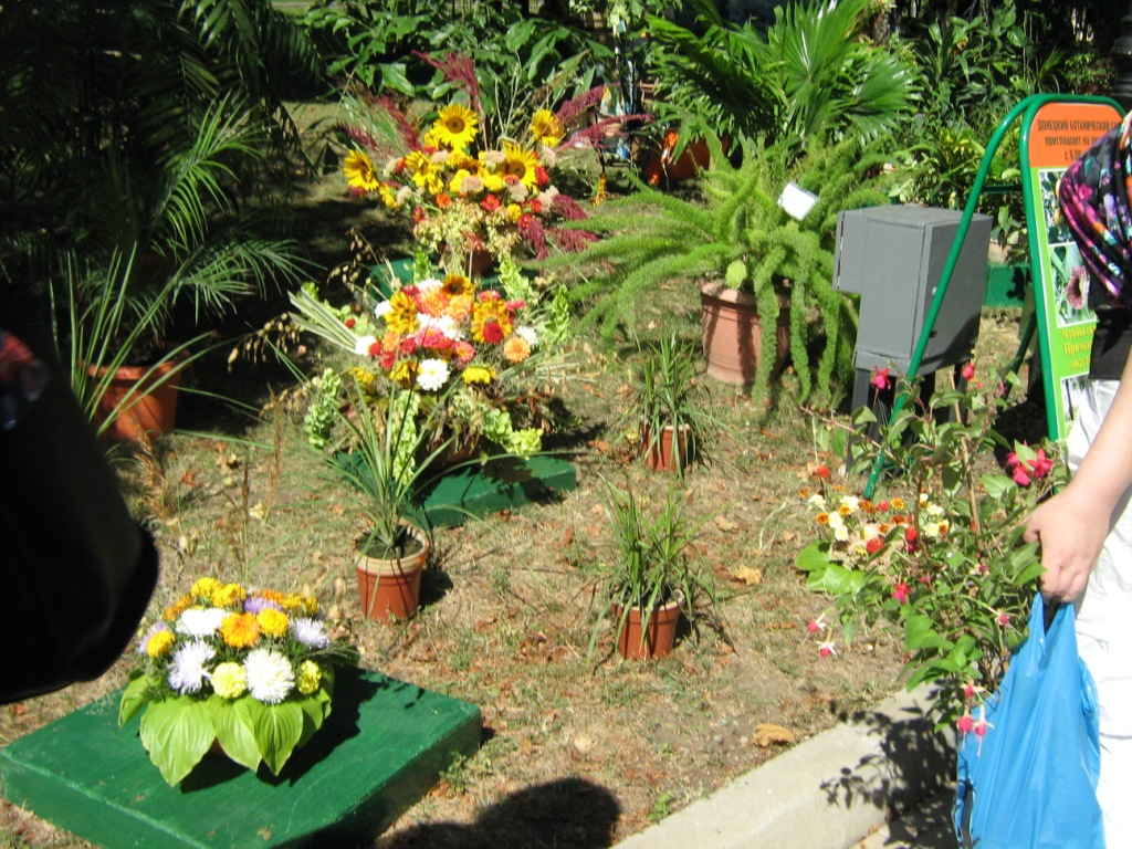 Донецк Выставка цветов 2015 Из ботанического сада
