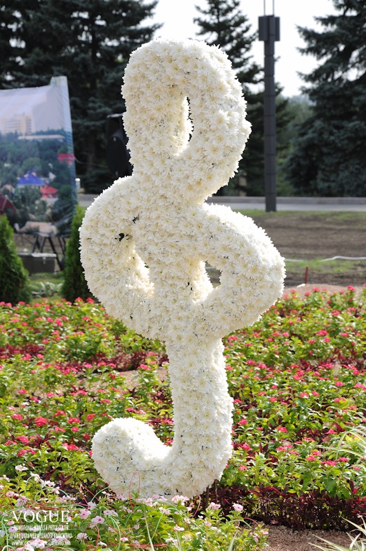 Донецк Выставка цветов 2012 Скрипичный ключ из белых дубков